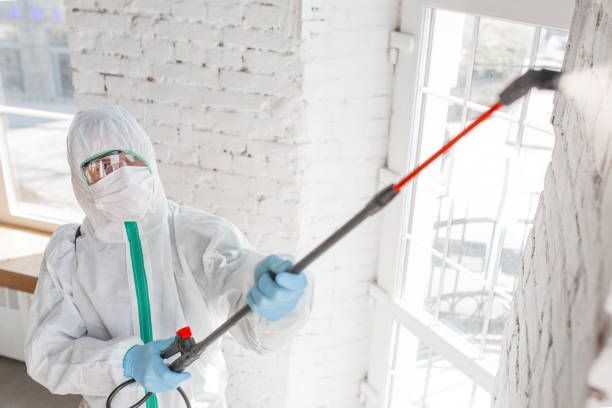 Great Falls, MT Mold Removal Pros