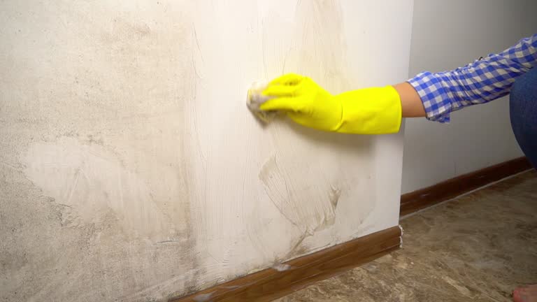 Best Air Quality Testing for Mold Spores  in Great Falls, MT