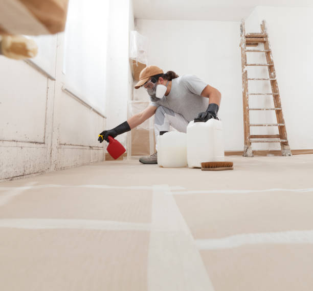 Best Mold-Related Health Consultation  in Great Falls, MT
